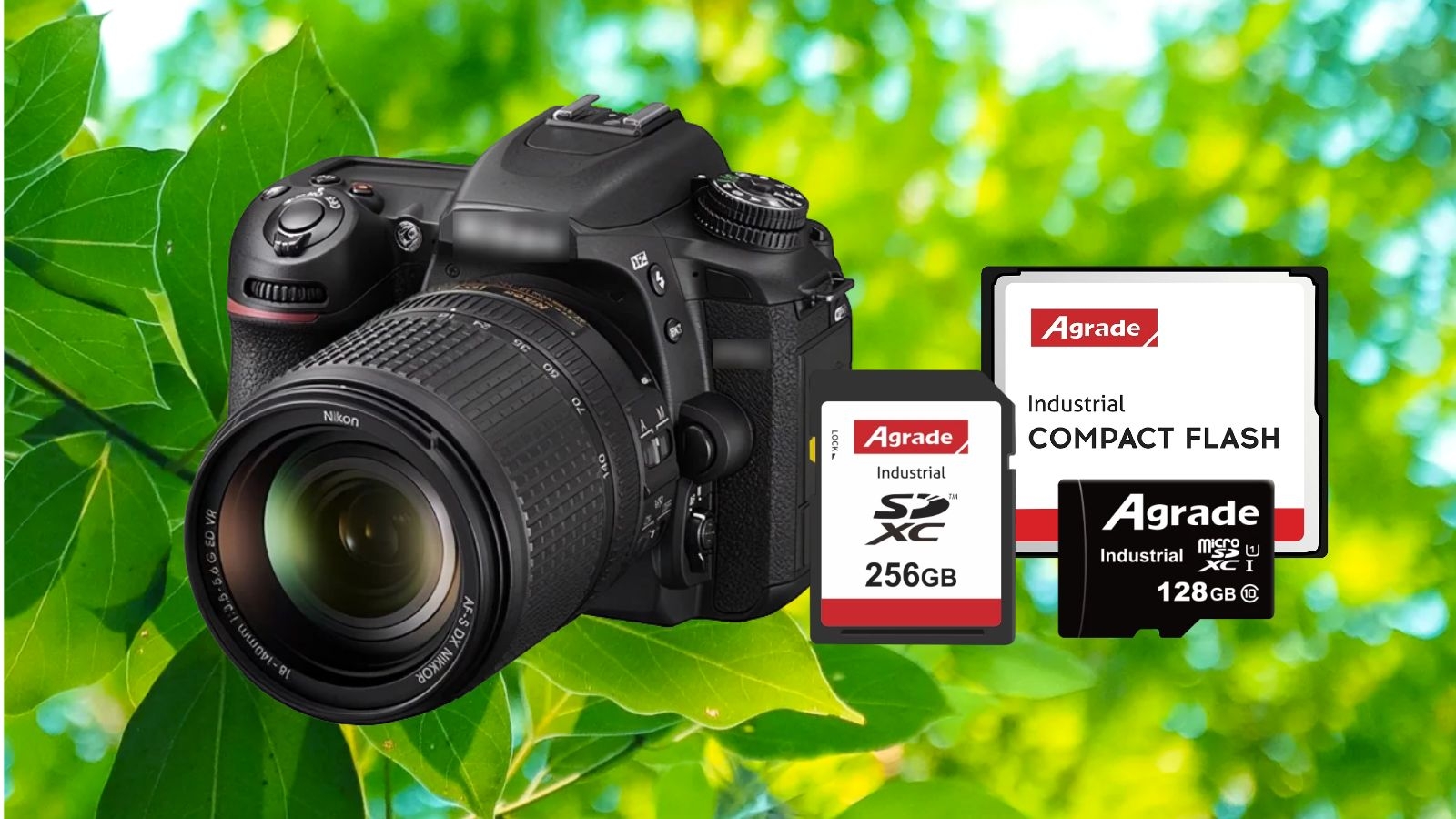 春天，單反會飛！